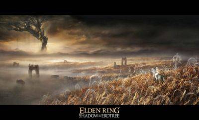 Francesco De Meo - Elden Ring: Shadow of the Erdtree May Launch in Two Months, Judging From Some Past FromSoftware DLC Releases - wccftech.com