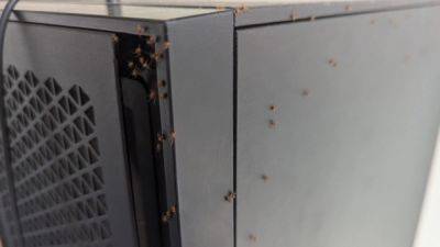 This redditor's PC was overrun with '50 to 100' baby spiders and now my day is ruined