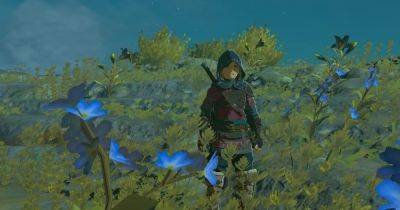 Joseph Yaden - Nintendo - How to get Wild Greens in Zelda: Tears of the Kingdom - digitaltrends.com - county Green