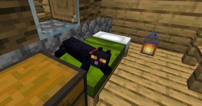 How to tame a cat in Minecraft (and where to find them)