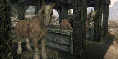 Hilarious Skyrim Glitch Gives NPC a Horse’s Head