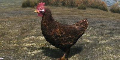 Sad Skyrim Chicken Leaves Player Feeling Guilty