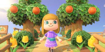 Daniel Morris - Animal Crossing: New Horizons Player Creates Impressive Honeybee-Themed House - gamerant.com - Creates