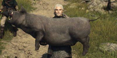 Christian Miller - Dragon's Dogma 2 Player Plays Catch With Their Pawns And A Pig - gamerant.com