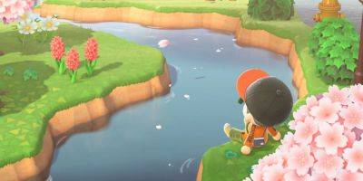 Clayton Cyre - Animal Crossing: New Horizons Player Shares Little-Known Character Animation - gamerant.com - county Hall