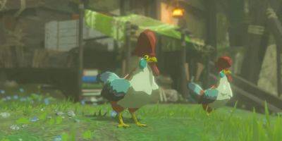 Zelda: Tears of the Kingdom Player Points Out Interesting Cucco Detail