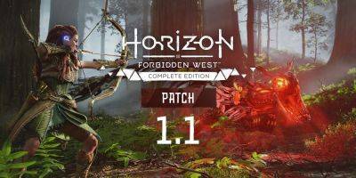 Dominik Bo - Horizon Forbidden West Releases Second PC Update - gamerant.com