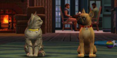 Daniel Morris - The Sims 4 Player Creates Spitting Image of Their Cat in the Game - gamerant.com