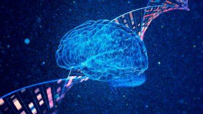 Scanning 1 cubic millimetre of brain tissue resulted in 1,400,000 GB of data, or about the same space as your Dad's holiday photo collection