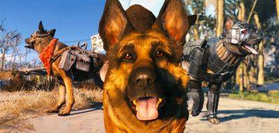 How To Give Dogmeat Armor In Fallout 4 - screenrant.com