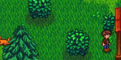 There's One Key Fact Every Stardew Valley Player Should Know About Bushes - screenrant.com - county Woods