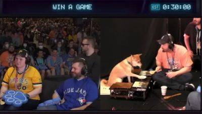 Andy Chalk - Peanut Butter the dog finishes Ken Griffey Jr speedrun at SGDQ with a walk-off home run in extra innings - pcgamer.com