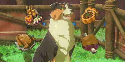 Zelda Player Finds Hilarious Problem With Feeding Dogs To Find Treasure In TOTK - screenrant.com