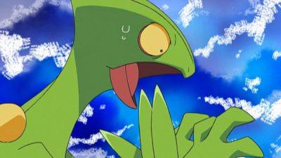 Nearly 3 years after starting Pokemon Sapphire, the mathematical concept of Pi has a level 88 Sceptile but still can't escape the starting town